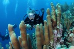 Dave diving in Curacao